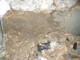 coolross 2840.jpg